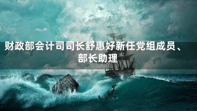 财政部会计司司长舒惠好新任党组成员、部长助理