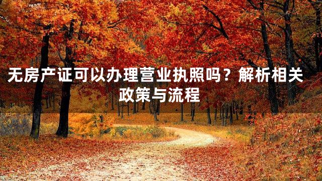 无房产证可以办理营业执照吗？解析相关政策与流程