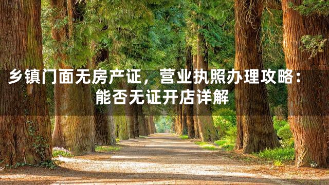 乡镇门面无房产证，营业执照办理攻略：能否无证开店详解