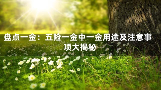 盘点一金：五险一金中一金用途及注意事项大揭秘