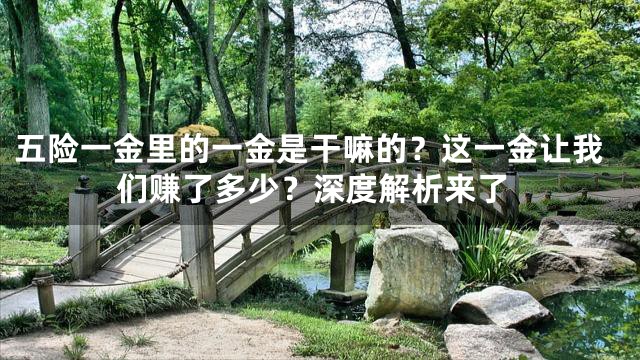 五险一金里的一金是干嘛的？这一金让我们赚了多少？深度解析来了