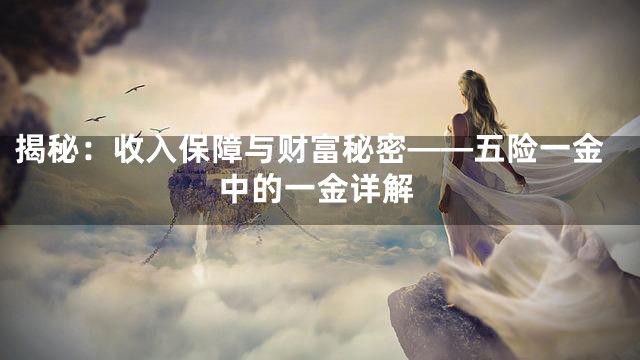 揭秘：收入保障与财富秘密——五险一金中的一金详解