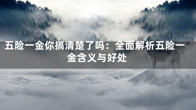 五险一金你搞清楚了吗：全面解析五险一金含义与好处