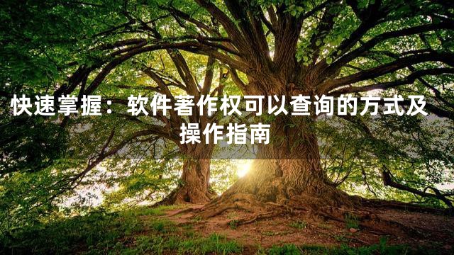 快速掌握：软件著作权可以查询的方式及操作指南