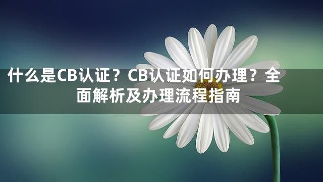 什么是CB认证？CB认证如何办理？全面解析及办理流程指南