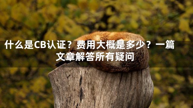 什么是CB认证？费用大概是多少？一篇文章解答所有疑问