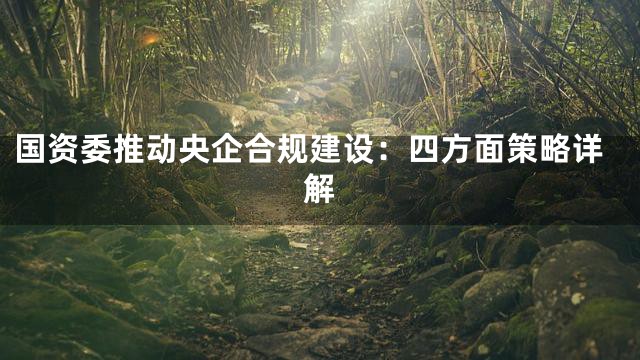 国资委推动央企合规建设：四方面策略详解