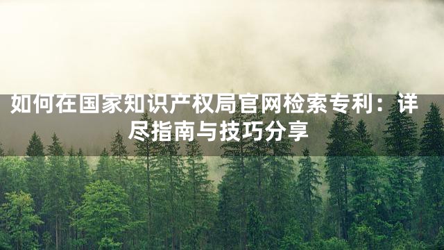 如何在国家知识产权局官网检索专利：详尽指南与技巧分享