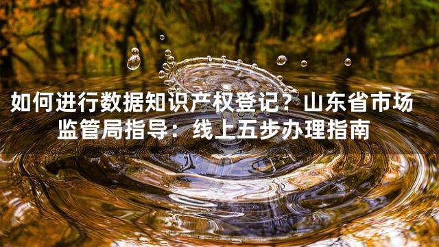 如何进行数据知识产权登记？山东省市场监管局指导：线上五步办理指南