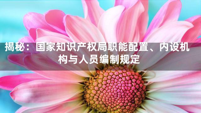 揭秘：国家知识产权局职能配置、内设机构与人员编制规定