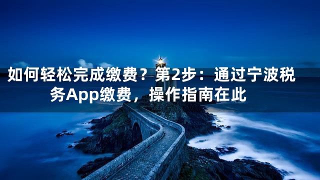 如何轻松完成缴费？第2步：通过宁波税务App缴费，操作指南在此