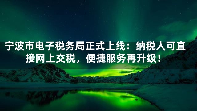 宁波市电子税务局正式上线：纳税人可直接网上交税，便捷服务再升级！