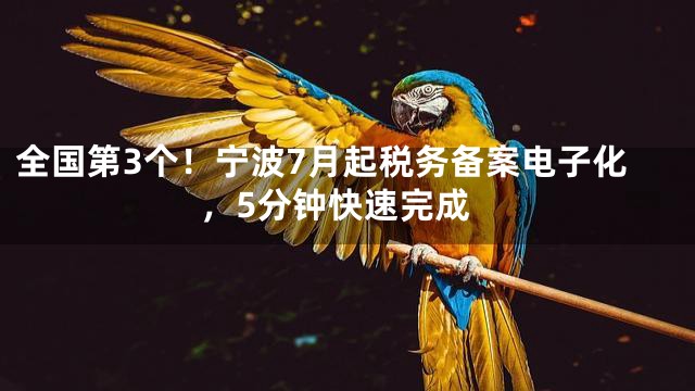 全国第3个！宁波7月起税务备案电子化，5分钟快速完成
