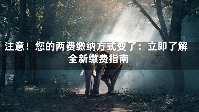 注意！您的两费缴纳方式变了：立即了解全新缴费指南