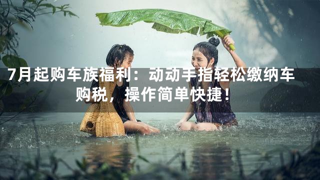 7月起购车族福利：动动手指轻松缴纳车购税，操作简单快捷！