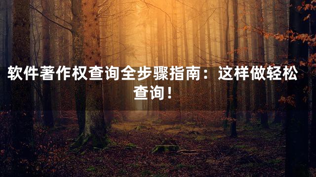 软件著作权查询全步骤指南：这样做轻松查询！