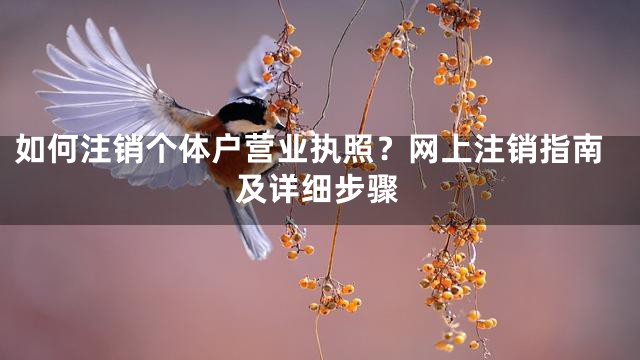 如何注销个体户营业执照？网上注销指南及详细步骤