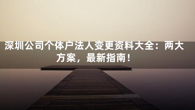 深圳公司个体户法人变更资料大全：两大方案，最新指南！