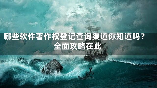 哪些软件著作权登记查询渠道你知道吗？全面攻略在此