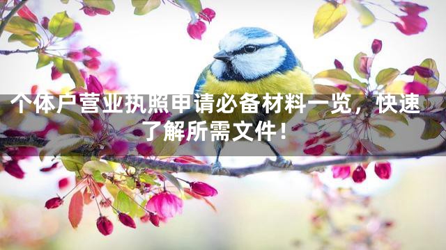 个体户营业执照申请必备材料一览，快速了解所需文件！