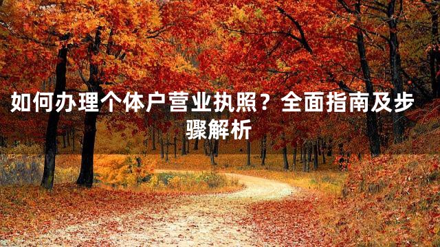 如何办理个体户营业执照？全面指南及步骤解析