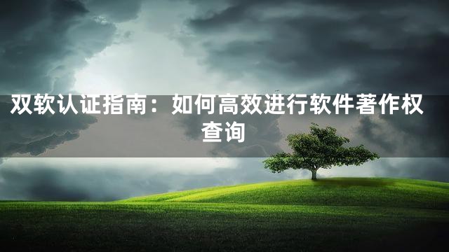 双软认证指南：如何高效进行软件著作权查询