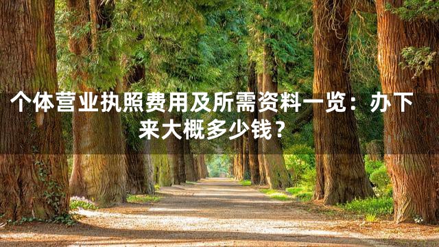 个体营业执照费用及所需资料一览：办下来大概多少钱？