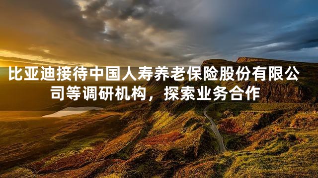 比亚迪接待中国人寿养老保险股份有限公司等调研机构，探索业务合作
