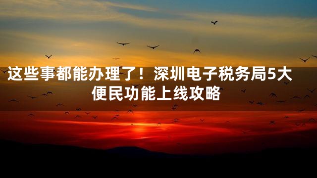 这些事都能办理了！深圳电子税务局5大便民功能上线攻略
