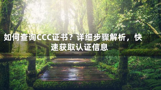 如何查询CCC证书？详细步骤解析，快速获取认证信息
