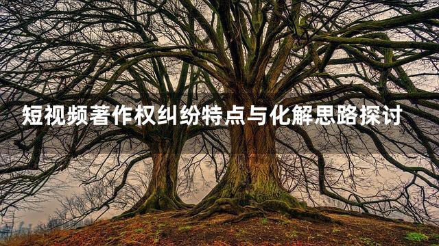 短视频著作权纠纷特点与化解思路探讨