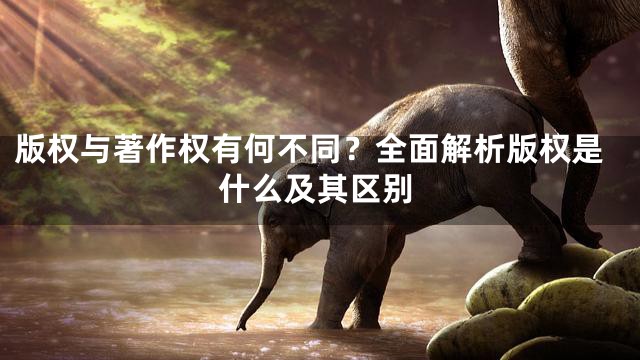 版权与著作权有何不同？全面解析版权是什么及其区别
