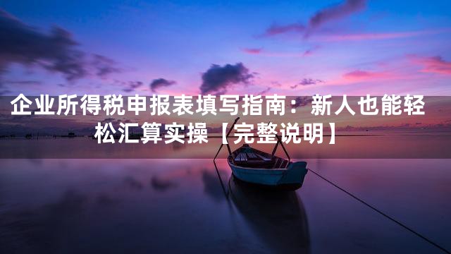 企业所得税申报表填写指南：新人也能轻松汇算实操【完整说明】