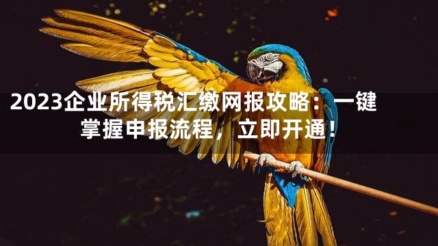 2023企业所得税汇缴网报攻略：一键掌握申报流程，立即开通！