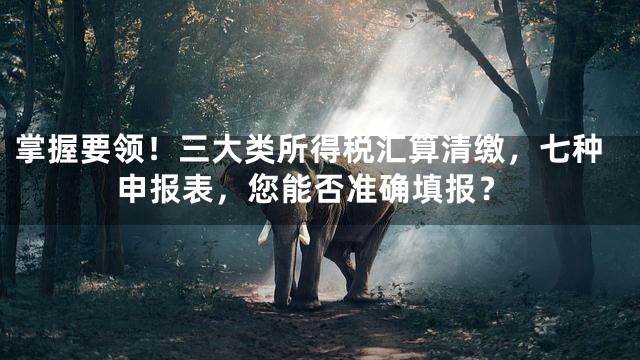 掌握要领！三大类所得税汇算清缴，七种申报表，您能否准确填报？