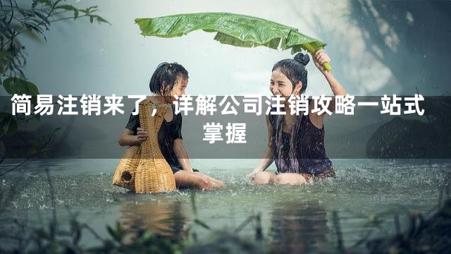 简易注销来了，详解公司注销攻略一站式掌握