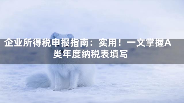 企业所得税申报指南：实用！一文掌握A类年度纳税表填写