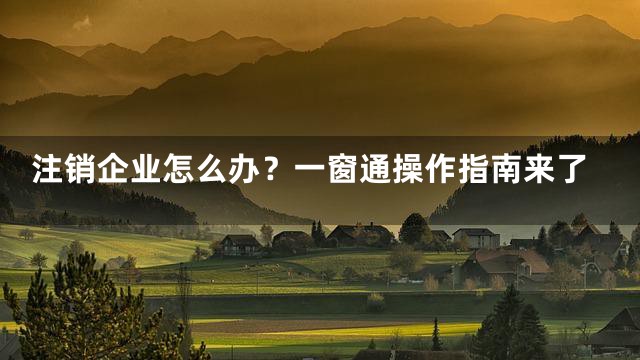 注销企业怎么办？一窗通操作指南来了