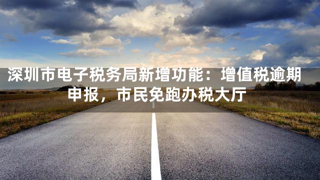 深圳市电子税务局新增功能：增值税逾期申报，市民免跑办税大厅