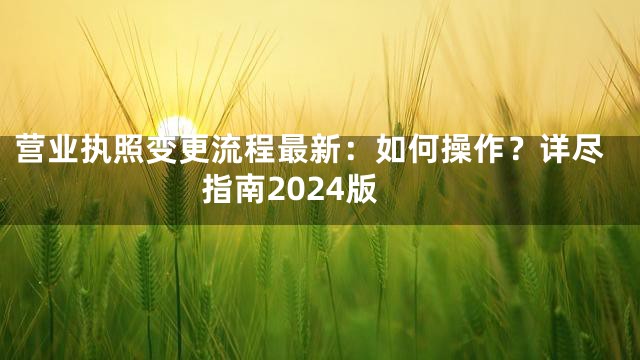 营业执照变更流程最新：如何操作？详尽指南2024版