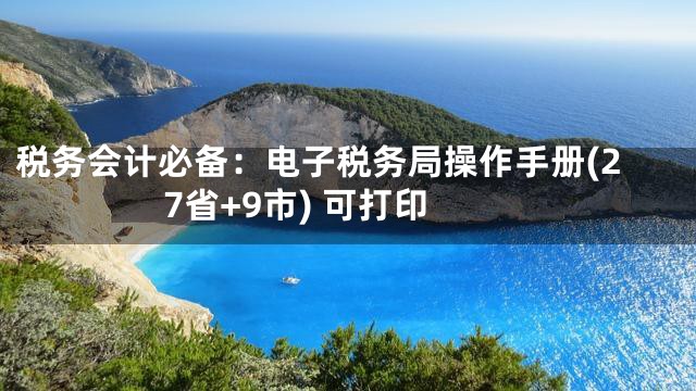 税务会计必备：电子税务局操作手册(27省+9市) 可打印
