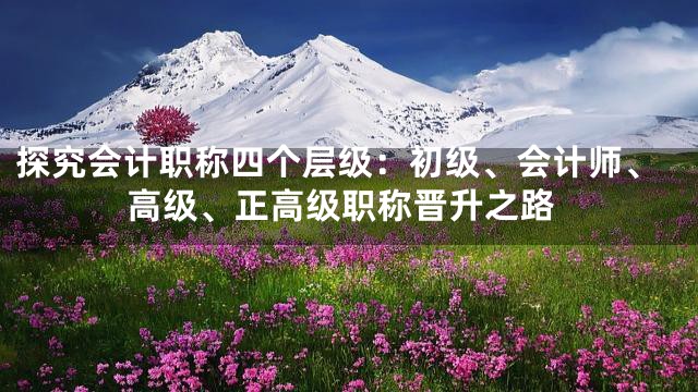 探究会计职称四个层级：初级、会计师、高级、正高级职称晋升之路
