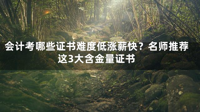 会计考哪些证书难度低涨薪快？名师推荐这3大含金量证书