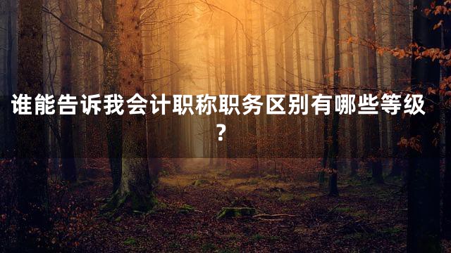 谁能告诉我会计职称职务区别有哪些等级？