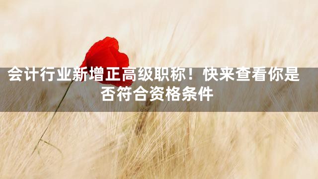 会计行业新增正高级职称！快来查看你是否符合资格条件