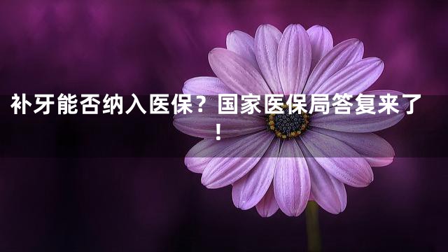 补牙能否纳入医保？国家医保局答复来了！