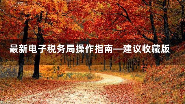 最新电子税务局操作指南—建议收藏版