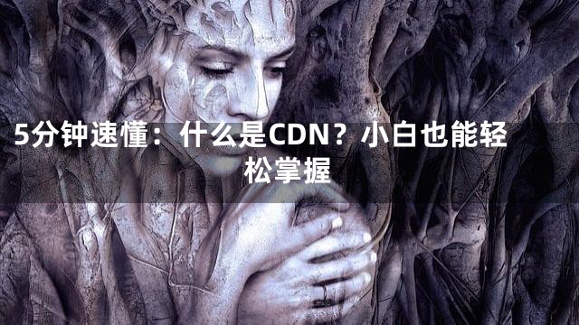 5分钟速懂：什么是CDN？小白也能轻松掌握