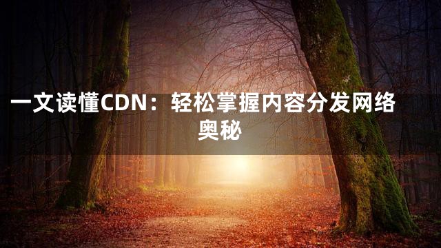一文读懂CDN：轻松掌握内容分发网络奥秘