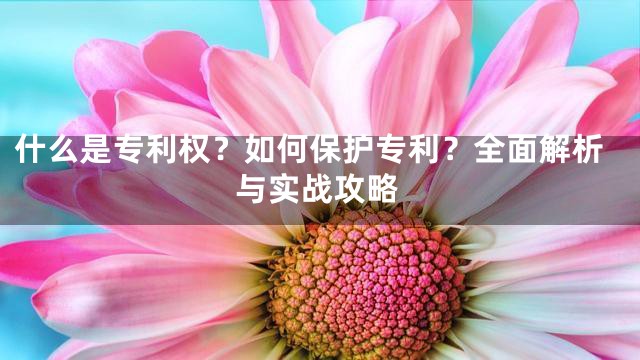 什么是专利权？如何保护专利？全面解析与实战攻略